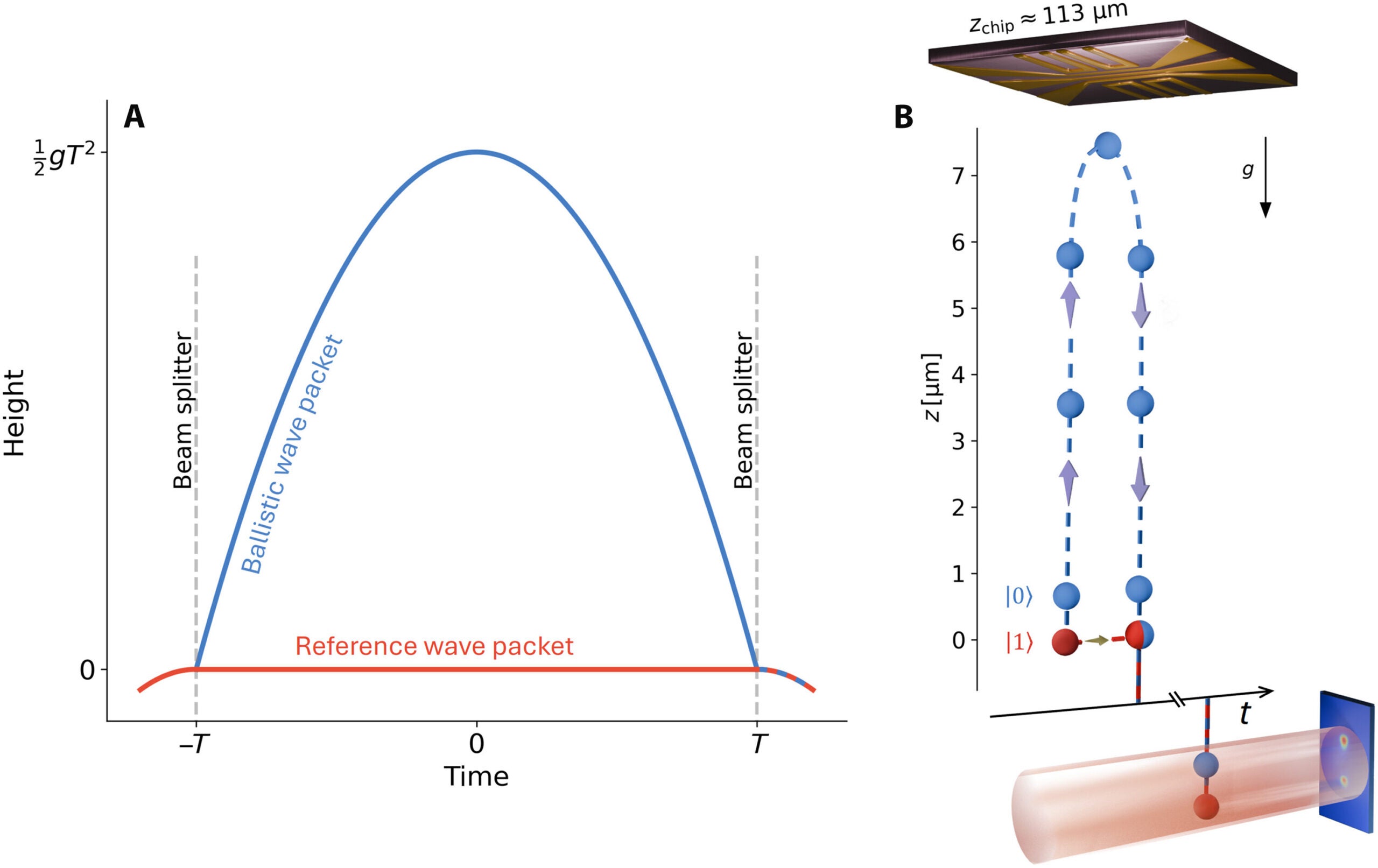 The QGI experiment to measure the phase accumulation of a free-falling particle.