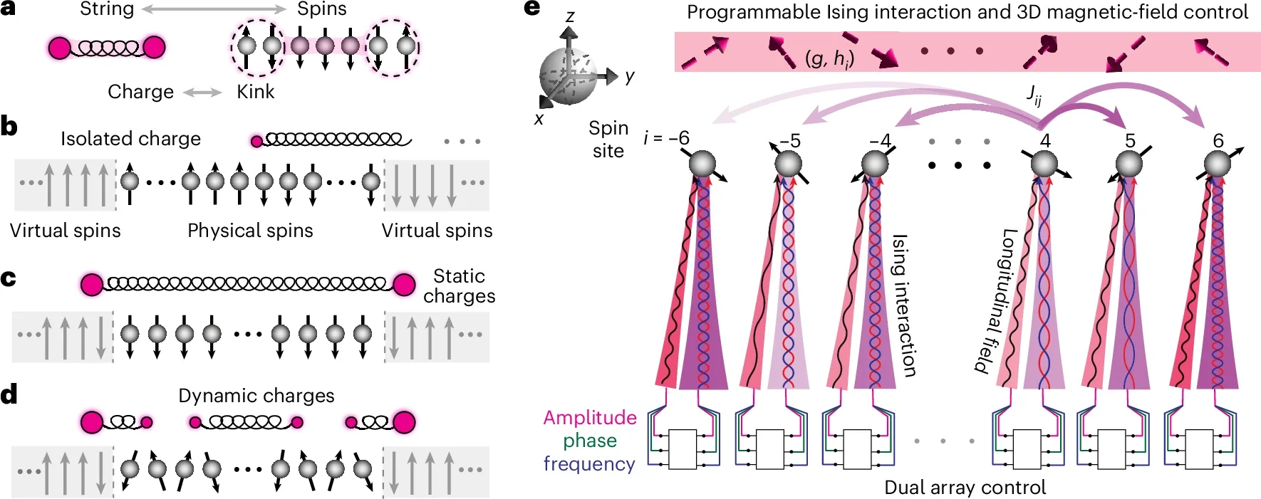 Charge and string dynamics with a trapped-ion quantum simulator.