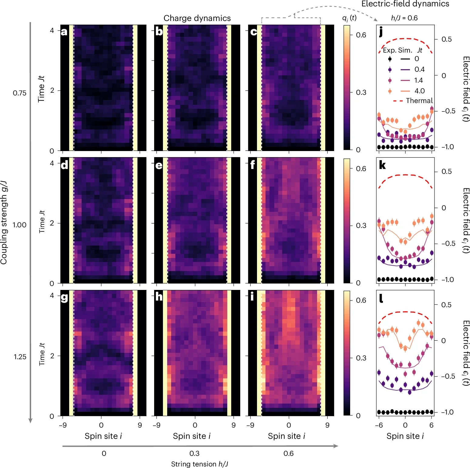 Non-equilibrium string dynamics. Time evolution of a classical string state with a pair of external static charges.