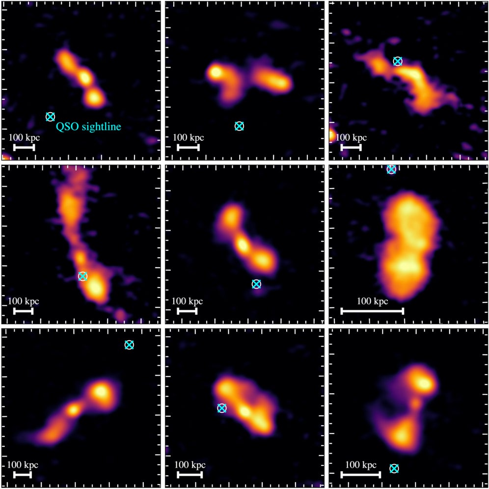 LOFAR radio images of nine example radio galaxies used in our analyses. The background-quasar sight lines from the DESI spectroscopic dataset are shown by cyan symbols.