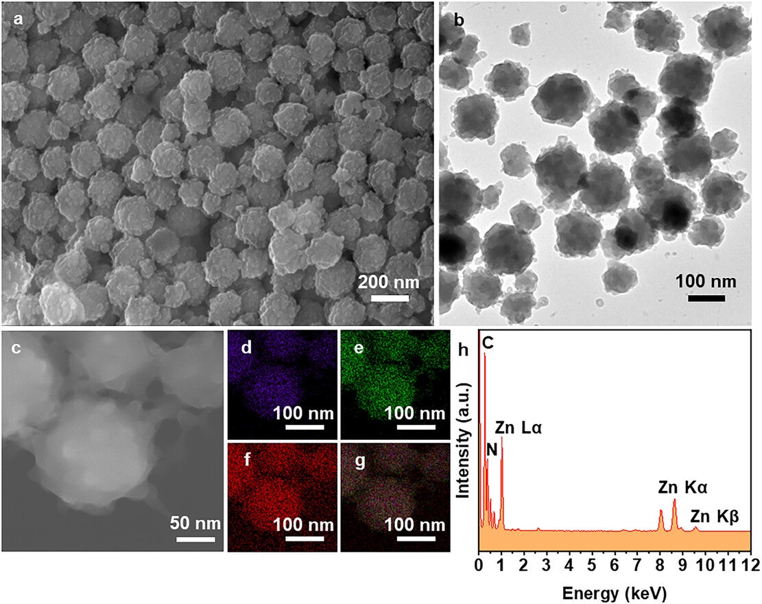 (a) SEM, (b) TEM, and (c) HAADF-STEM images of BP-ZIF-8-C1. Corresponding STEM-EDX elemental maps showing the spatial distributions of (d) N, (e) Zn, and (f) C, together with (g) the merged elemental map and (h) the EDX spectrum.