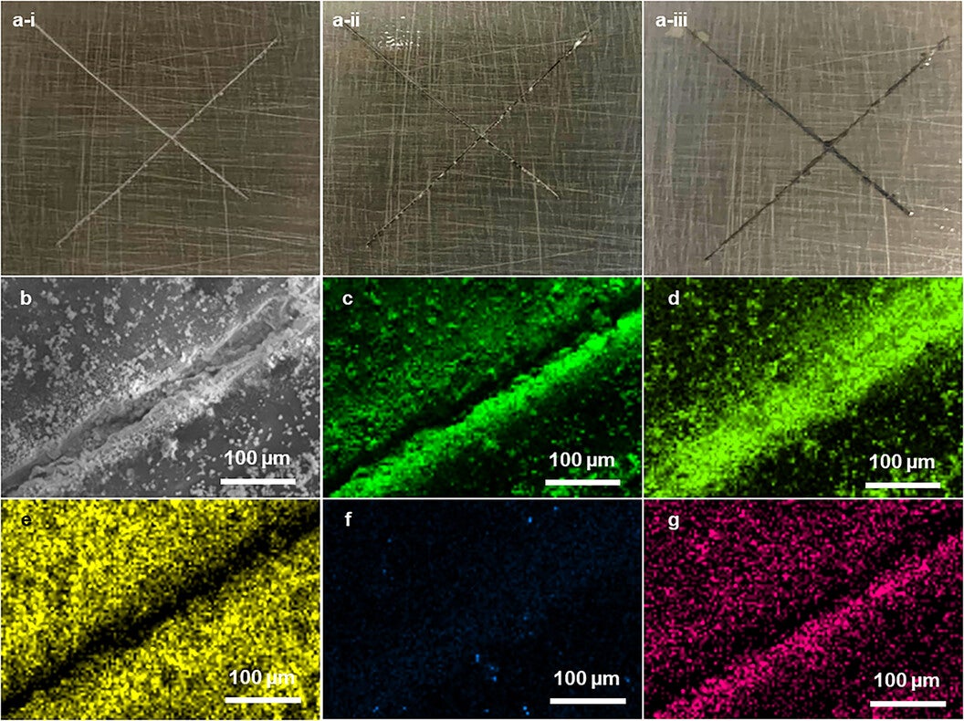 (a) Optical image of the WBPU + BP-ZIF-8-C2@SiO2 coating after immersion in 3.5 wt% NaCl for (i) 0, (ii) 7, and (iii) 14 days. (b) SEM image of the scratched region of WBPU + BP-ZIF-8-C2@SiO2 coating after 14 days. The corresponding EDX elemental maps show the spatial distributions of (c) O, (d) Zn, (e) Si, (f) Fe, and (g) N.