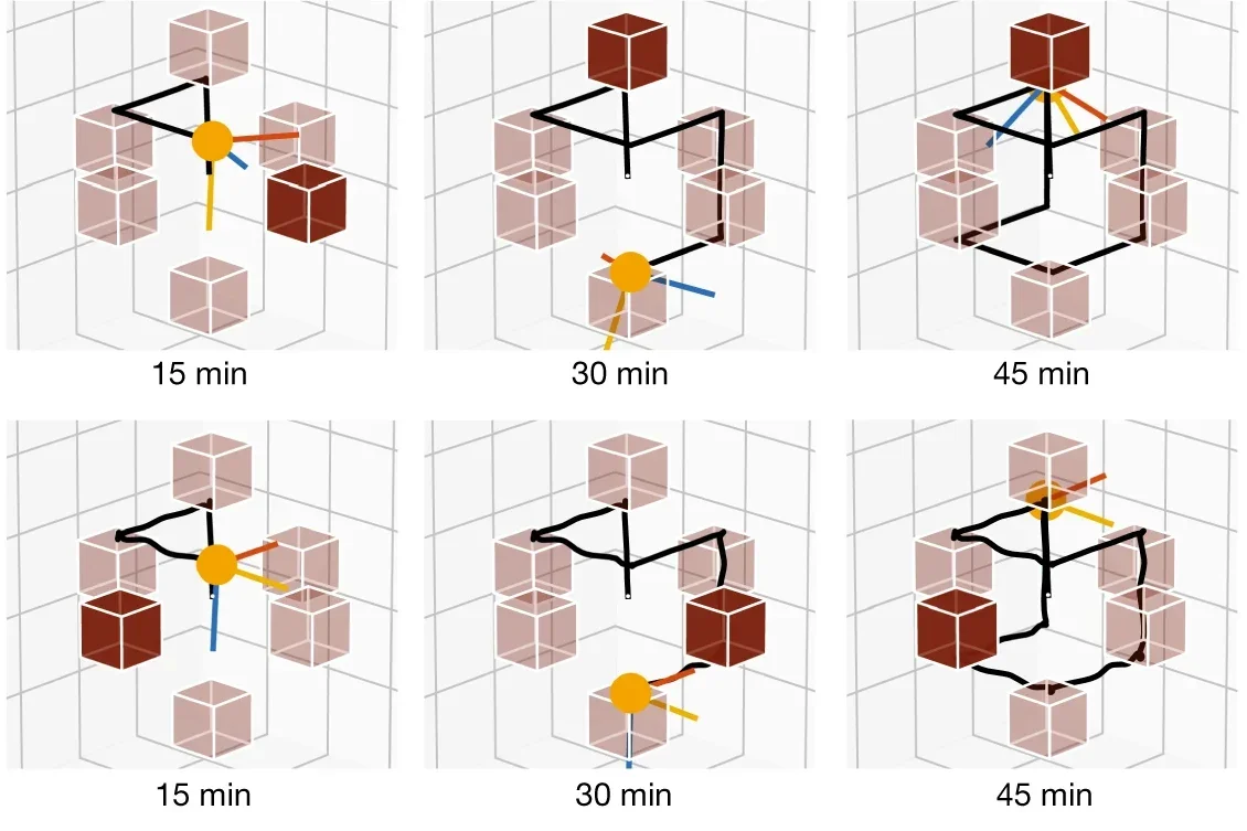 Numerical simulation with 3-DOF position control along the edges of a cube (the black line is the path taken) and uncontrolled orientation using six dipole field sources (brown cubes