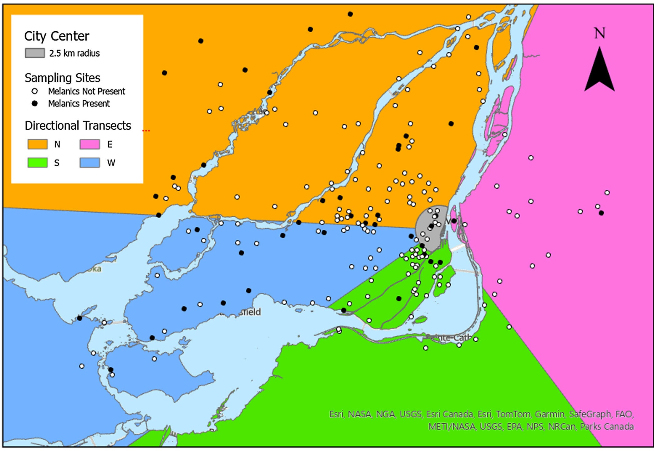 Map of the study area divided by the four directional transects. Points on the map mark our visual survey sampling sites. Black points indicate the presence of melanic individuals while white point indicates their absence.