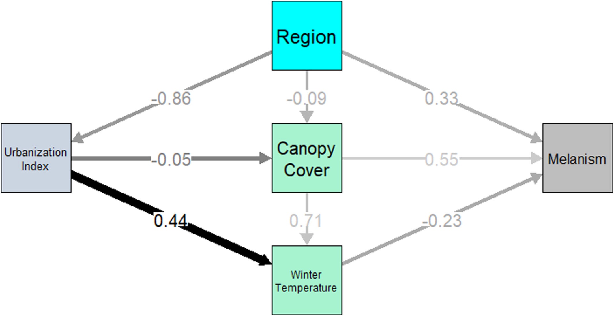 Pathways of our structural equation model. Pathway coefficients are shown on the arrows; pathway significance is represented by the thickness and darkness of the arrows.