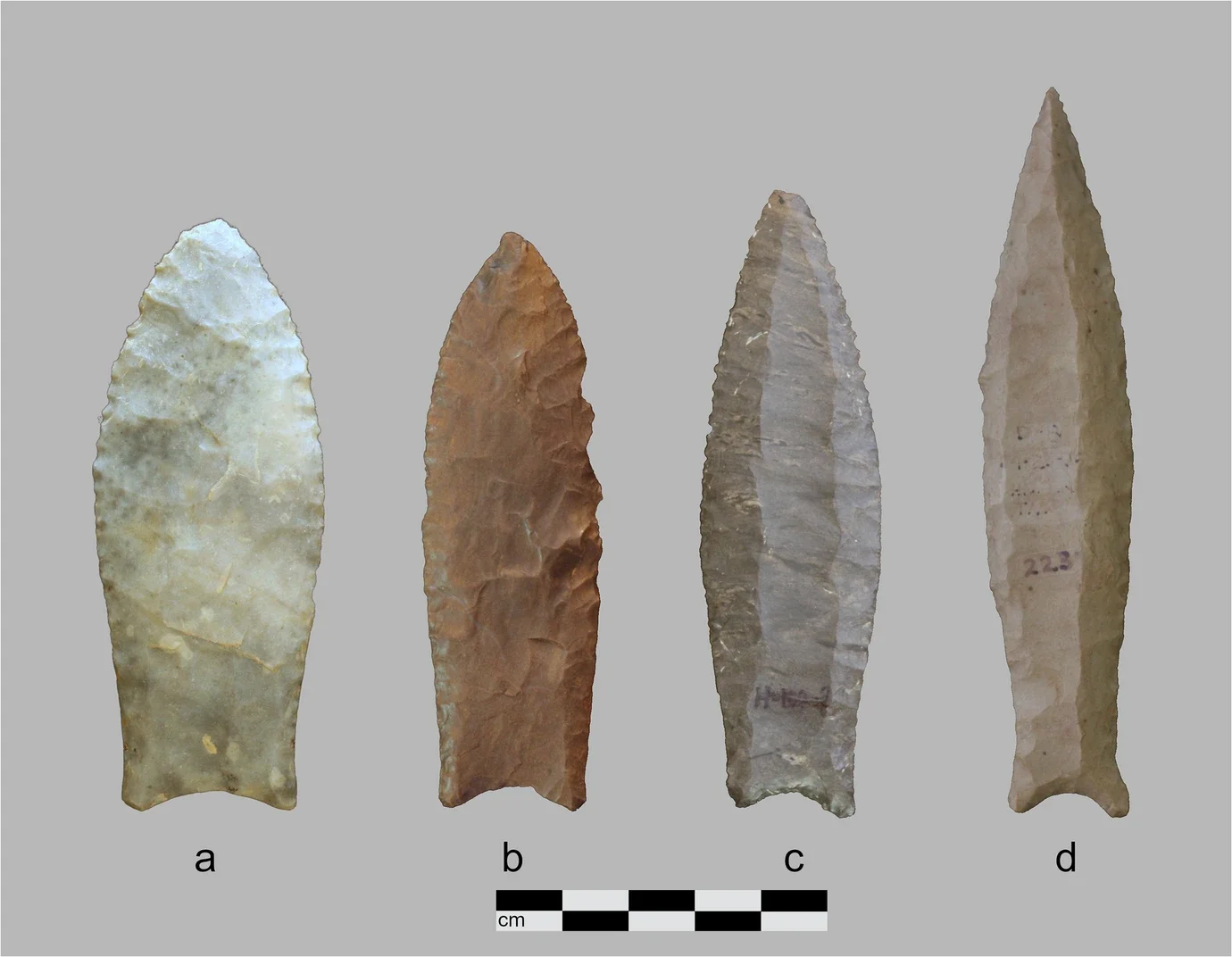 Clovis (a and b) and Cumberland (c and d) points from the Tennessee River Valley
