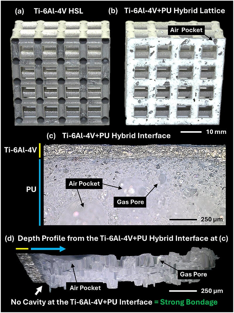 Macro- and microscopic characterization of Ti-6Al-4V+PU hybrid lattices. Cross-sectional views of (a) the Ti-6Al-4V HSL and (b) the Ti-6Al-4V+PU hybrid lattice, both featuring a 3.5 mm internal diameter. (c) Digital microscopy image showing a top-down (plan) view of the interface between Ti-6Al-4V and PU. (d) The depth profile demonstrates strong adhesion between the Ti-6Al-4V and the PU, with no cavities visible at the interface.