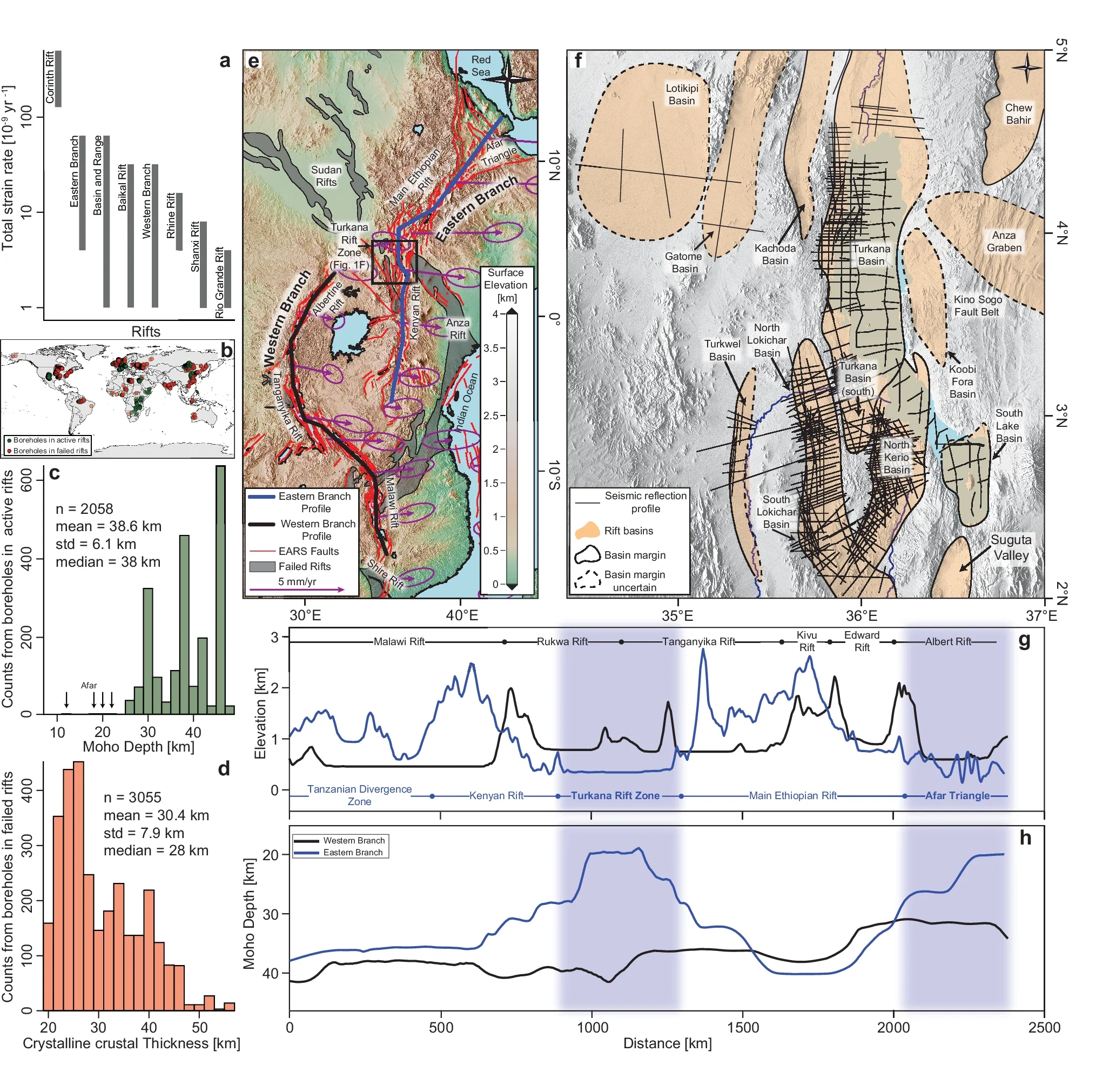 Global active and failed intracontinental rifts and the tectonic setting of the study.