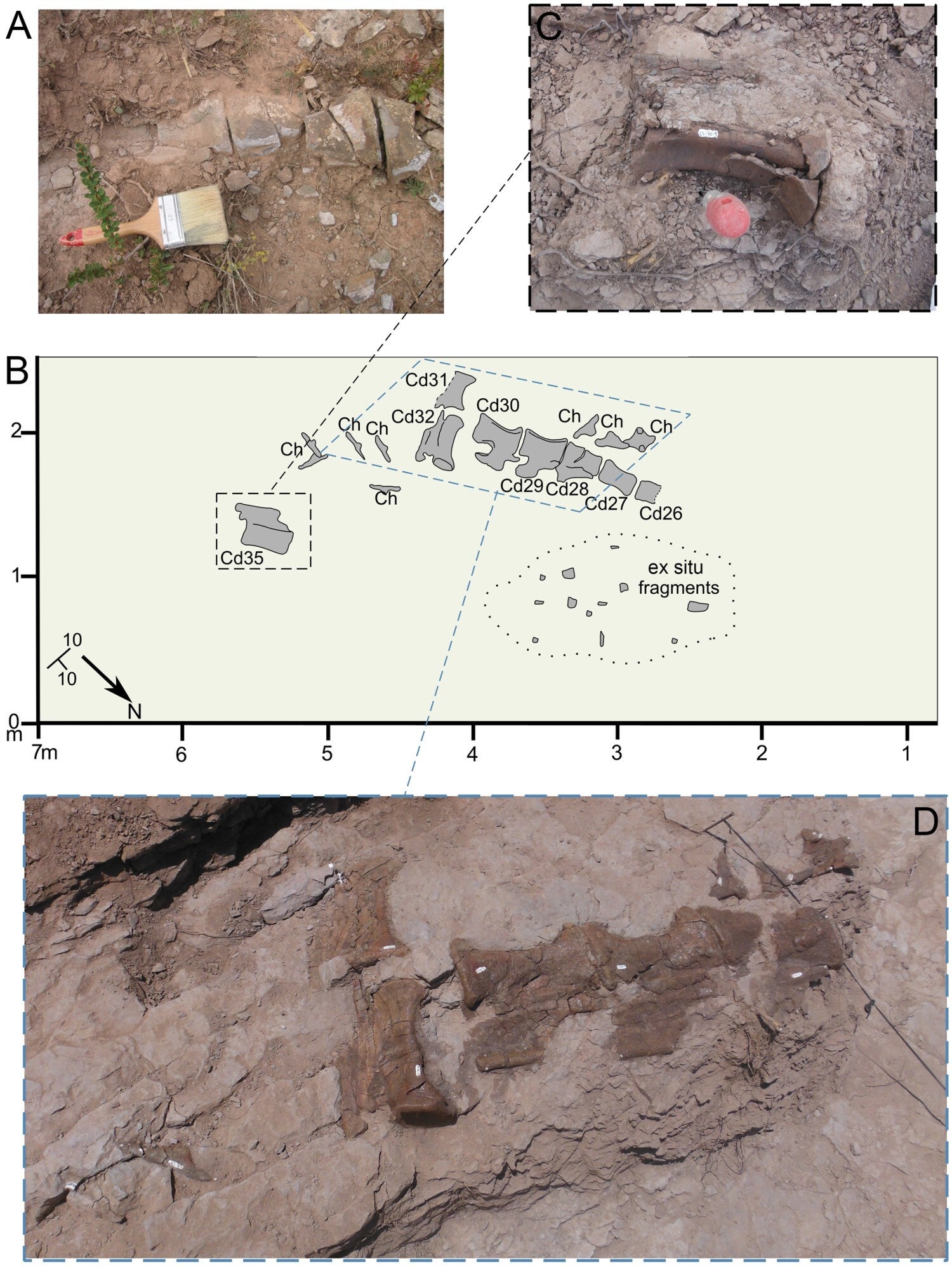 Photographs and excavation map of the La Tejería (CT-30) site (El Castellar, Teruel, Spain).