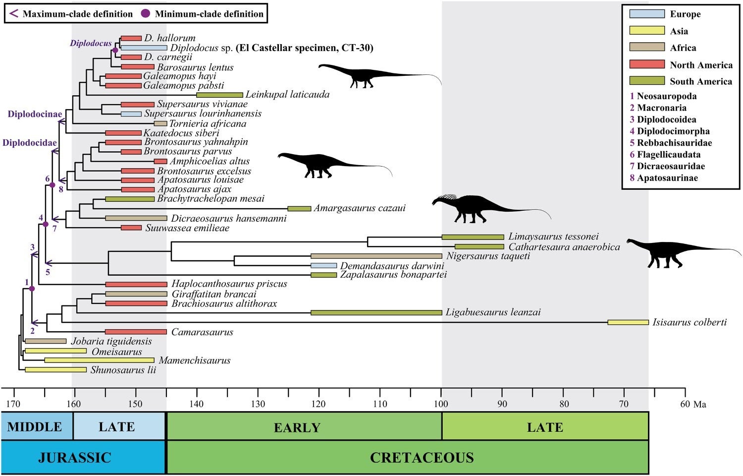Chronogram showing temporal, paleogeographic, and phylogenetic relationships of Diplodocus sp. (CT-30 specimen) from the La Tejería site (El Castellar, Teruel, Spain).
