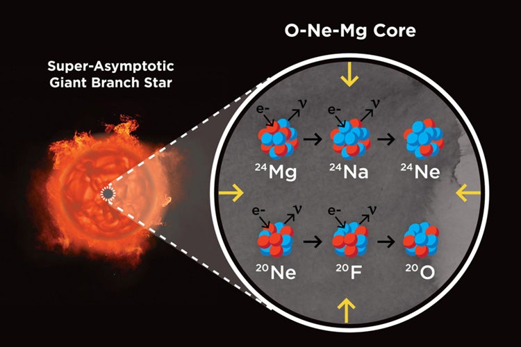 A super-asymptotic giant branch star (left) and its core (right) made up of oxygen (O), neon (Ne) and magnesium (Mg). These bloated stars are the end state of stars in a mass range of about 8 to 10 solar masses.