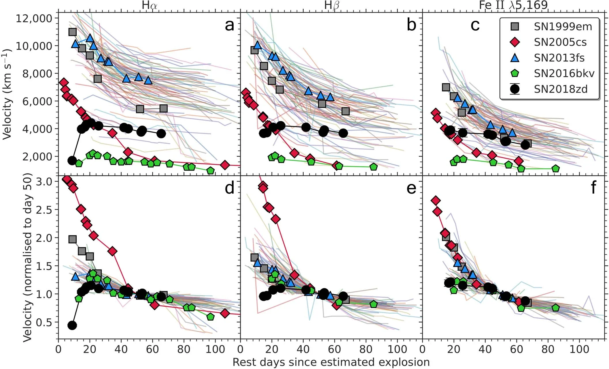 Comparison of the unnormalised (a, b, c) and normalized (to day 50; d, e, f) Hα, Hβ, and Fe ii λ5169 expansion velocities of SN 2018zd with a Type II SN sample (transparent lines), including archetypal SN 1999em, along with low-luminosity SN 2005cs, early-flash SN 2013fs, and low-luminosity and early-flash SN 2016bkv.
