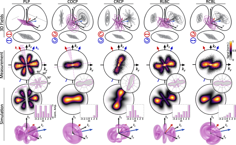 First row: 3D fields for the PLP, COCP, CRCP, RLBC, and RCBL configurations. Second row: Measured VMI images within the ROI. Third and forth rows: Simulated 2D projections and 3D densities of the PMDs.