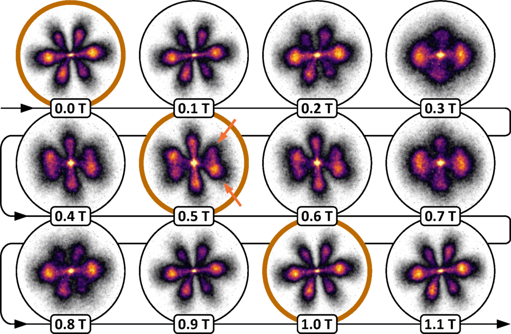 Time series of VMI images from the noncollinear bichromatic pump-probe study of the SOWP in the 3d fine structure doublet mapped into the continuum by the time-delayed blue pulse in the PLP configuration.