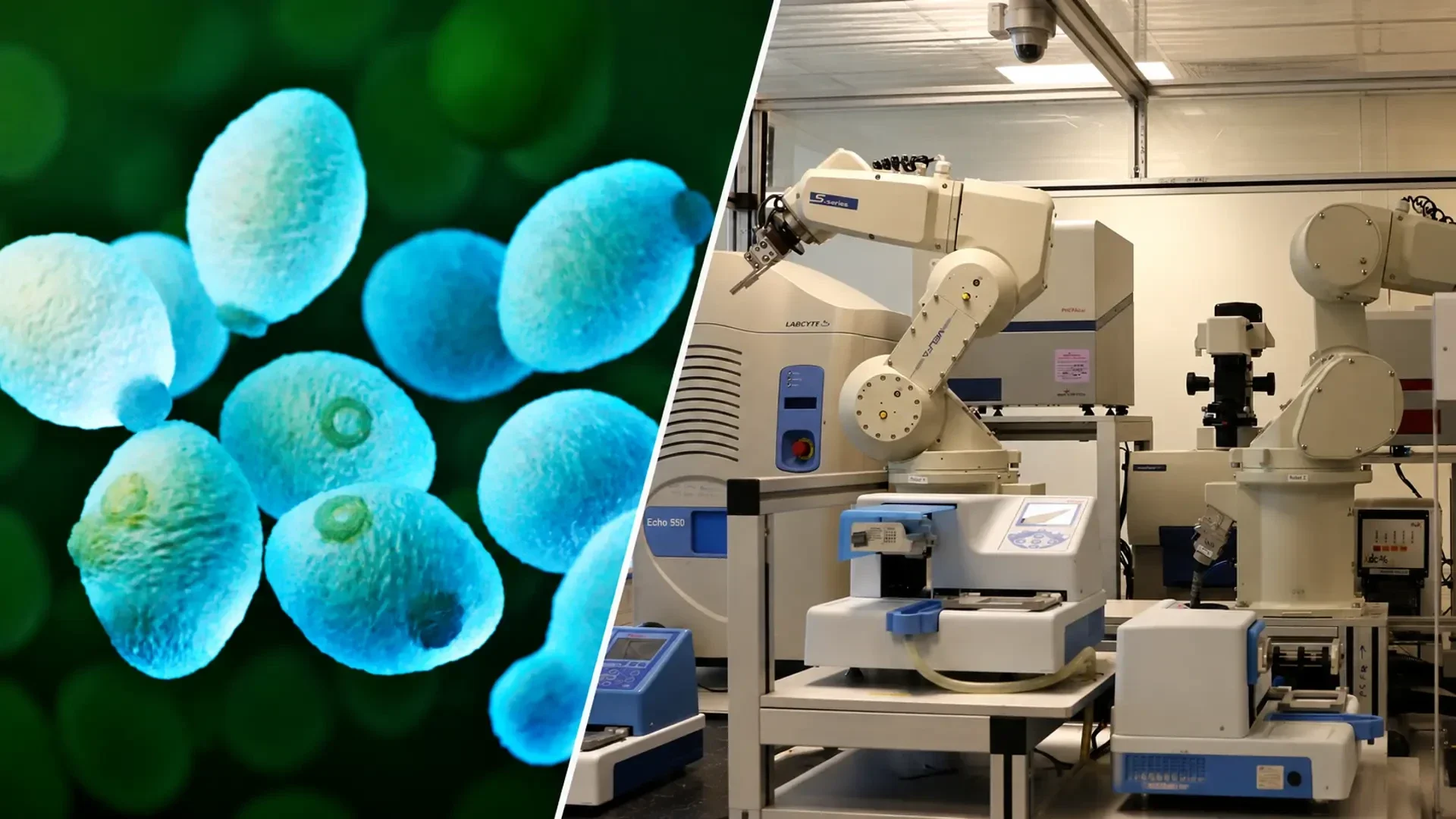 The images shows the robot scientist Eve at Chalmers University of Technology in Sweden, which was specifically designed for drug discovery, and which has now been updated with large language models and automated reasoning. 