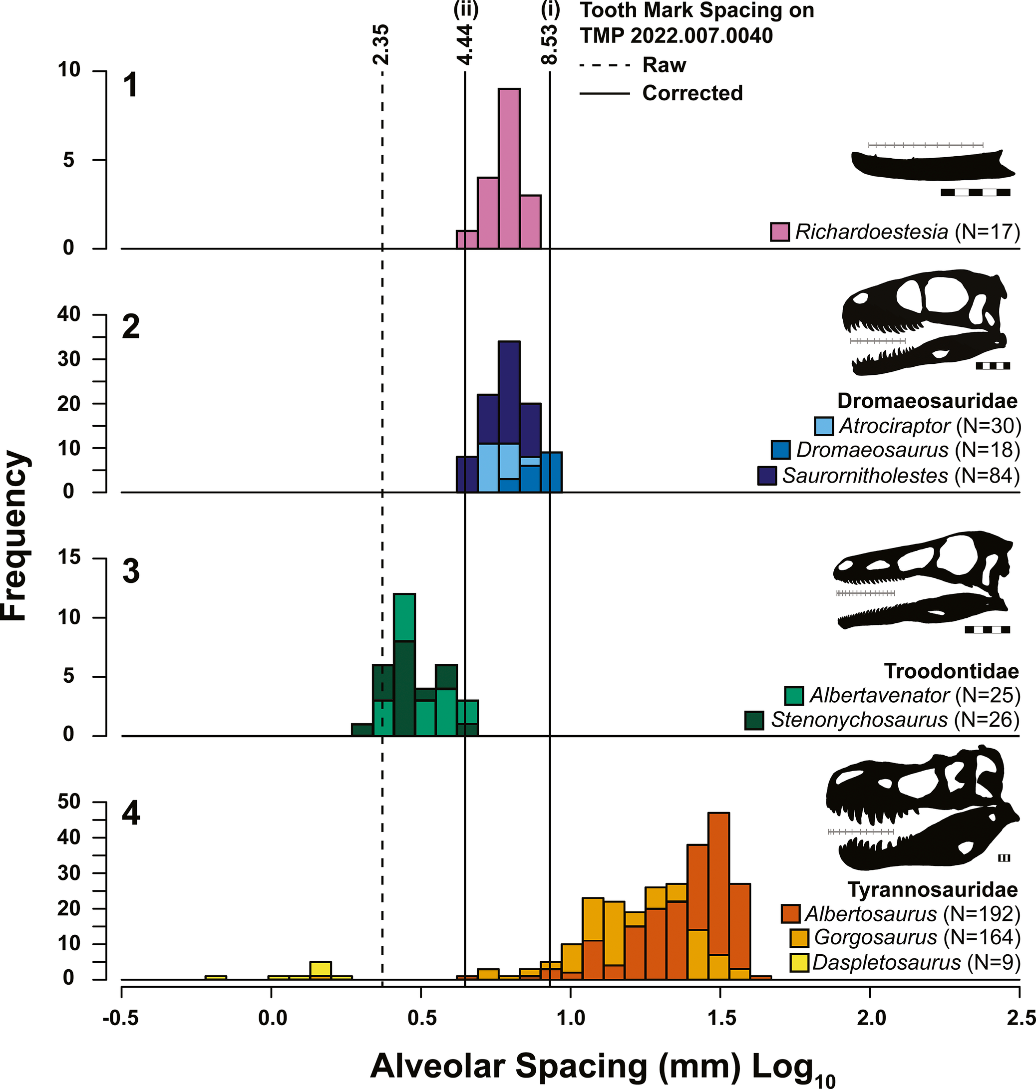 Comparison between tooth mark spacing on the splenial of TMP 2022.007.0040 (vertical lines) with the alveolar spacing of potential trace maker taxa