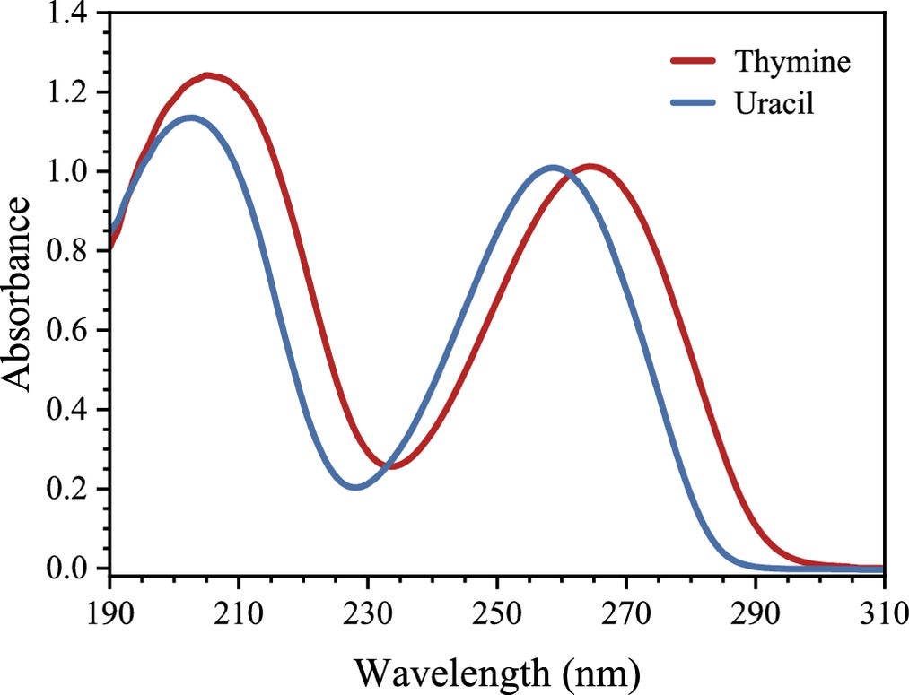 UV absorption spectra of thymine and uracil in aqueous solution (130 µM), showing maxima at 206 nm and 265 nm for thymine and at 203 nm and 259 nm for uracil.
