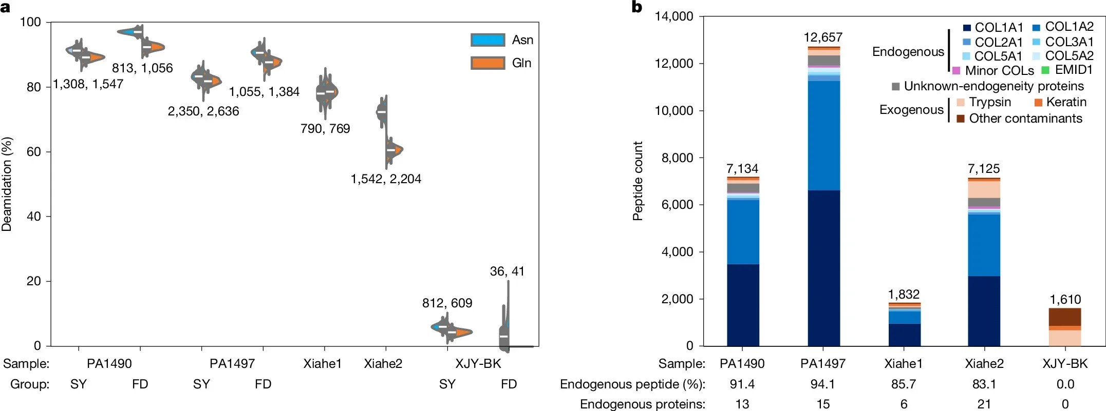 Ancient protein preservation of Xujiayao samples.