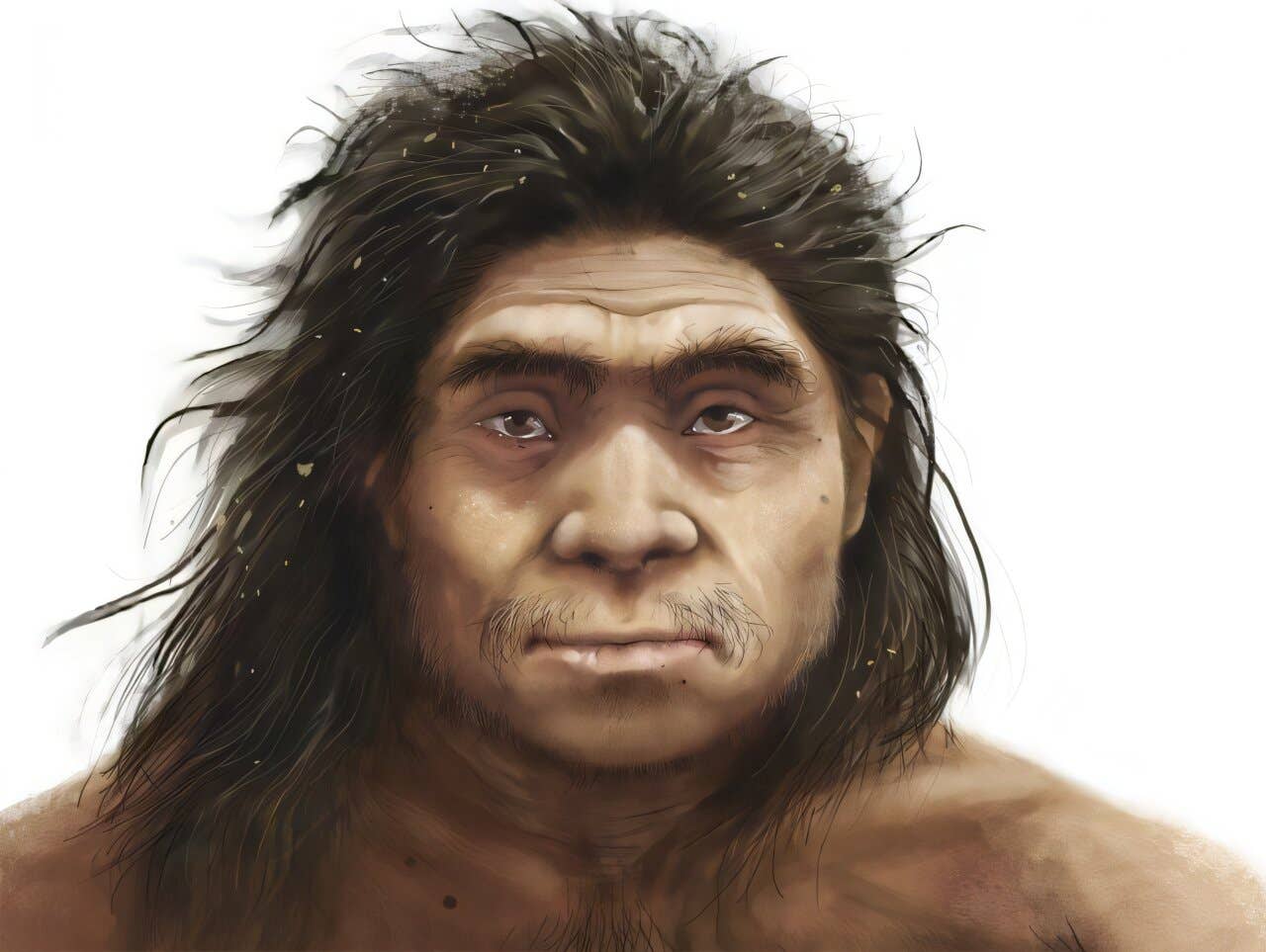 An artist’s reconstruction of a Denisovan highlights the ancient human relative’s broad, robust facial features.