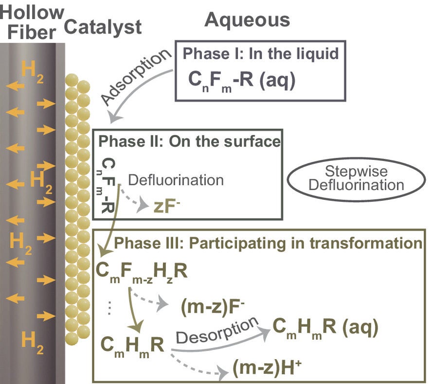 Phase-proportioning distribution of PFAS at the end of the batch test. Schematic illustration of operational phase distribution.