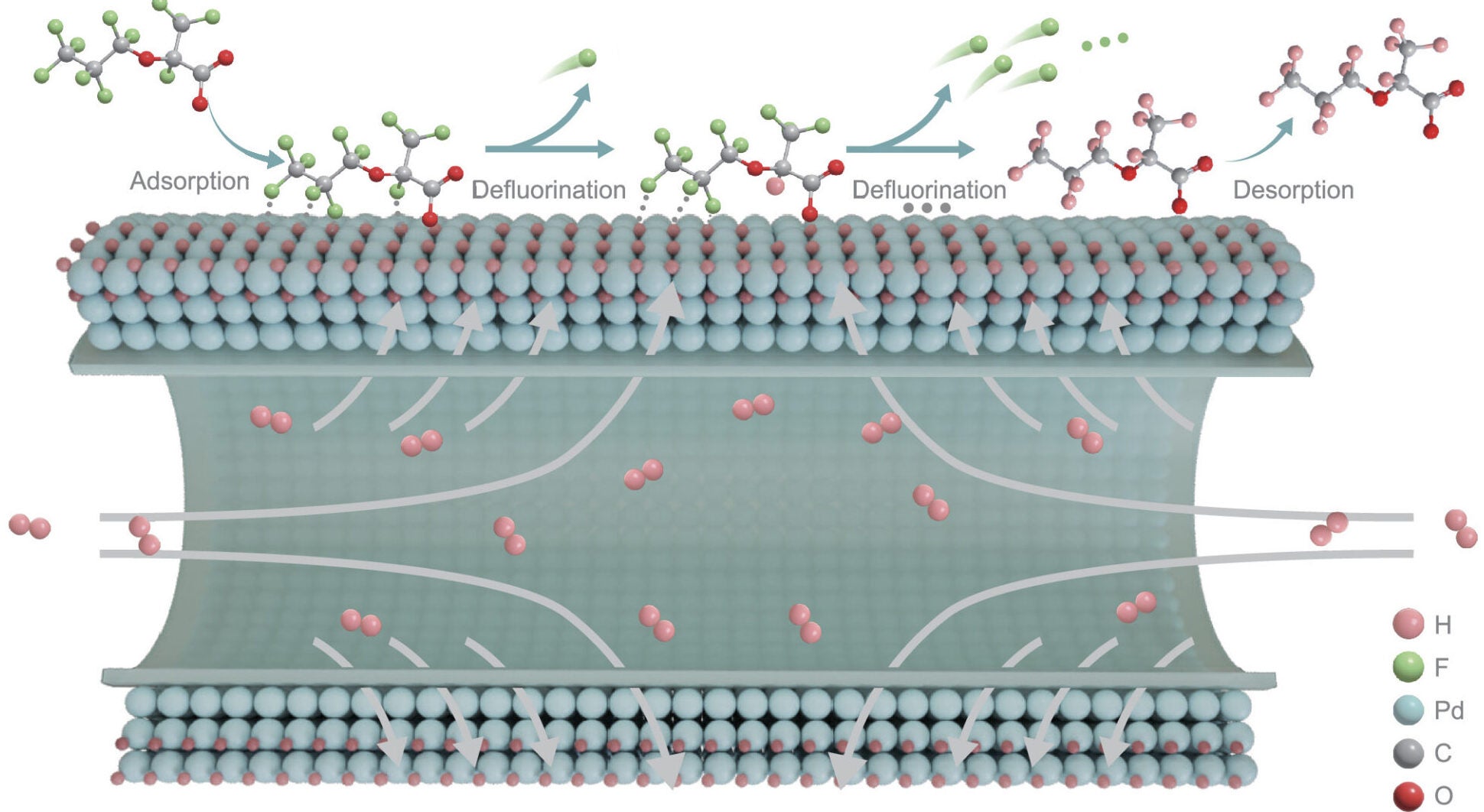 Mechanisms scheme for PFAS removal with H*-covered Pd membrane.