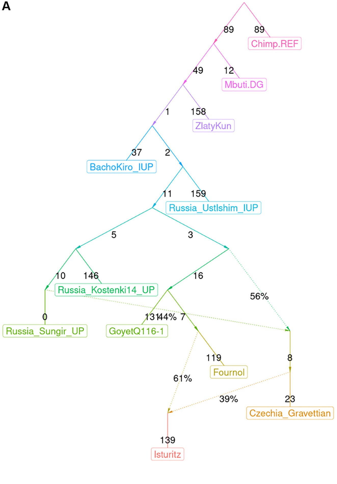 Genome-wide evidence that the Isturitz individual shows ancestry connections to Eastern Upper Palaeolithic populations.