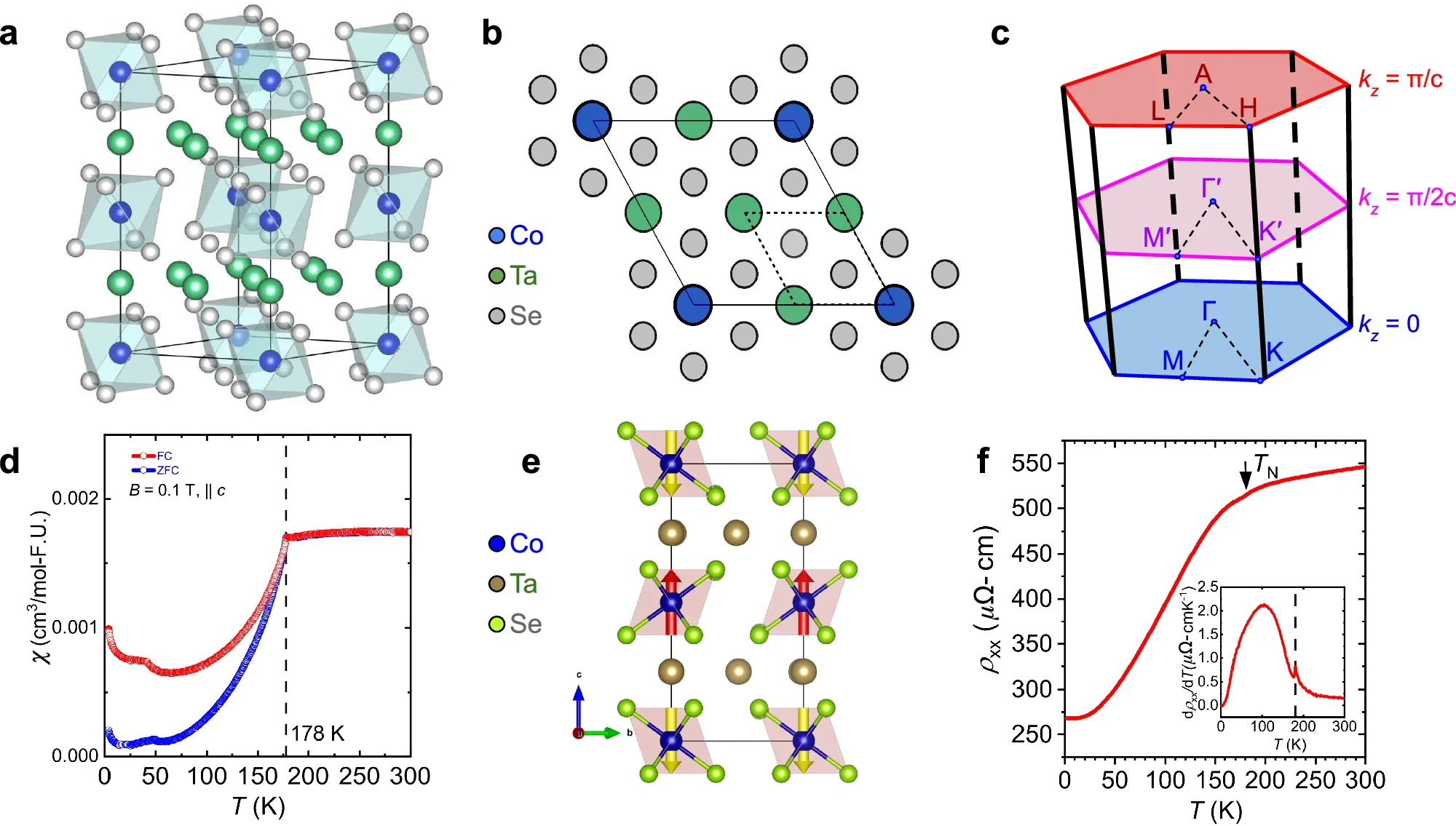 Establishment of Altermagnetic Crystal and Magnetic Structure in Co1/4TaSe2.