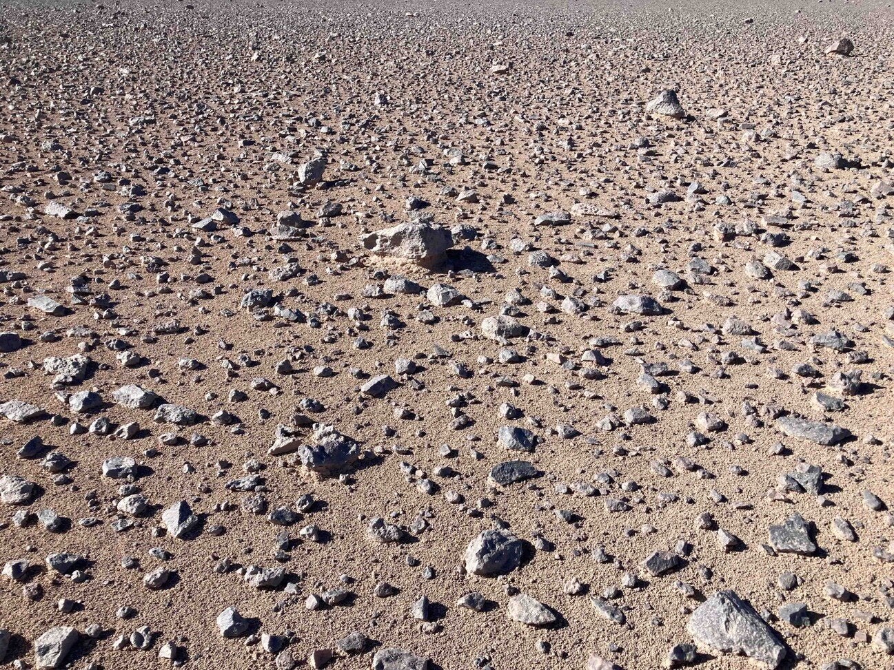 The hyperarid core of the Atacama Desert at the North of Antofagasta (NOA) site, a Mars-analog environment where samples analyzed in this study were collected. 