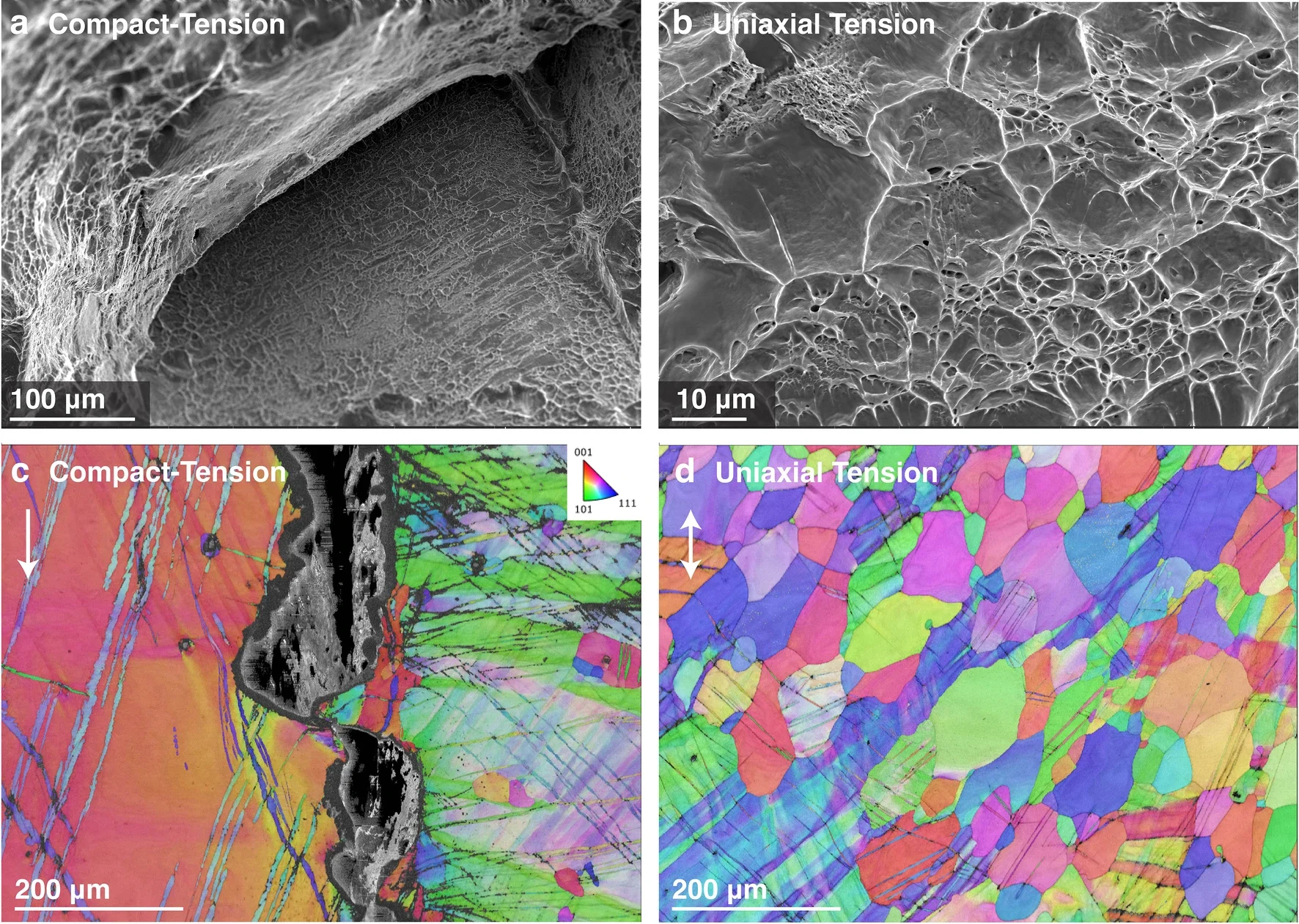 Fracture morphology and EBSD maps of Nb₇₀Ti₃₀. The effect of stress-state is illustrated by the differences in fracture morphology observed between C(T) and uniaxial tensile samples. 