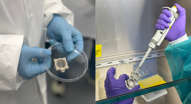 Blanchard lab prepares, miBrains, or human brain tissue derived from induced pluripotent stem cells, for SpaceX CRS-35 mission.
