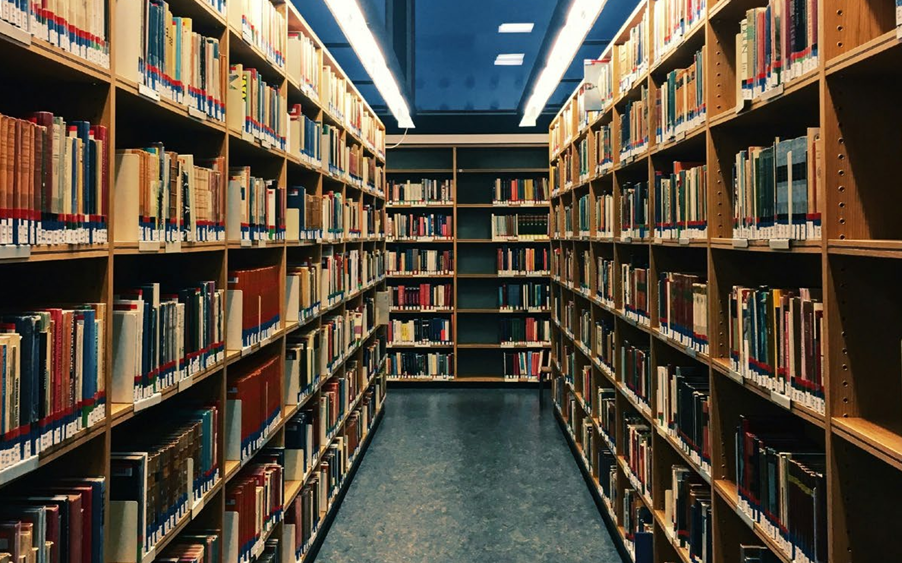 A novelist may face competition for readers while also losing the separate work that makes writing financially possible.
