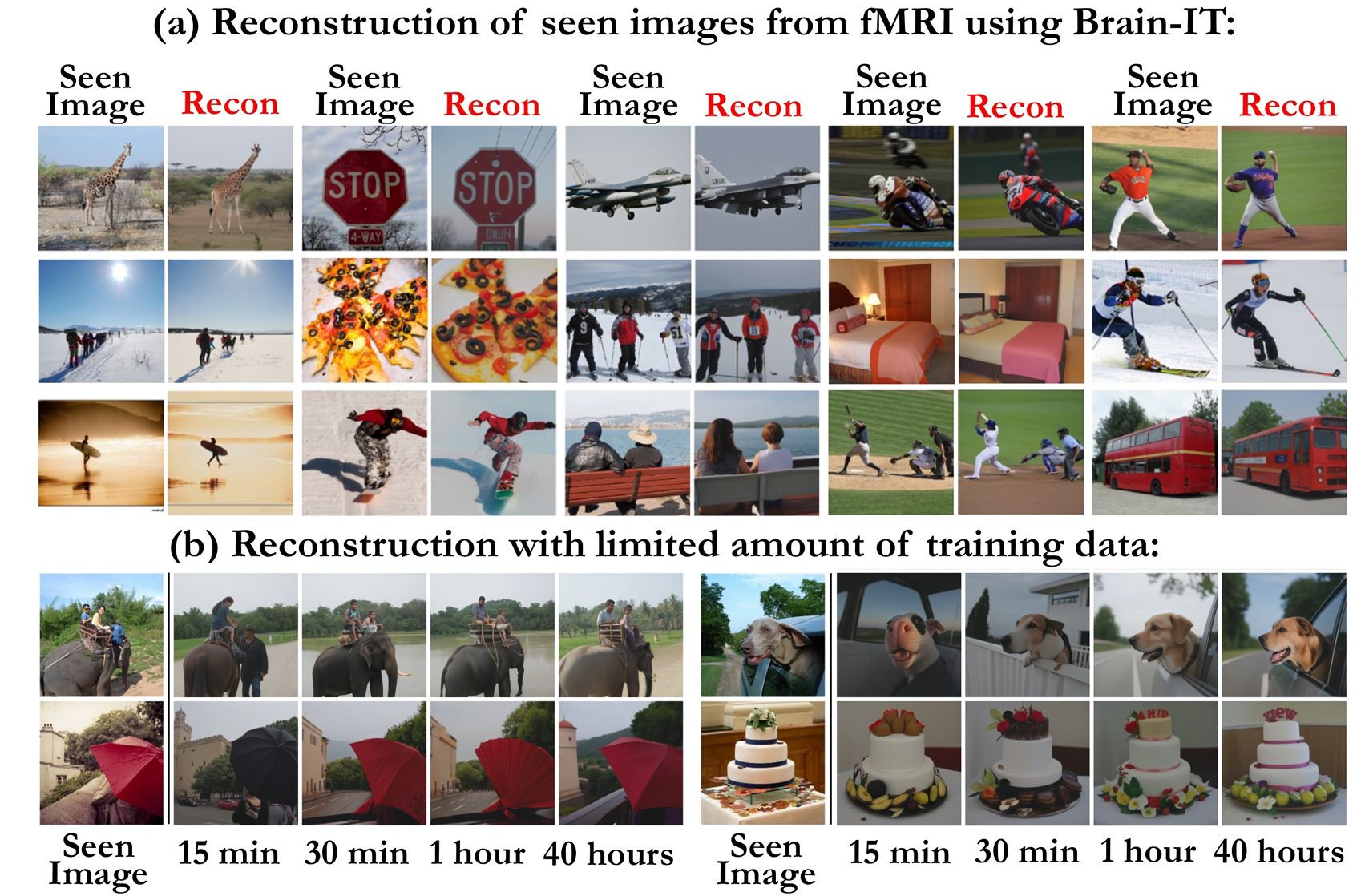 Reconstruction of seen images from fMRI using “Brain-IT”. (a) Image reconstructions using the full NSD dataset (40 hours per subject). (b) Efficient Transfer-learning to new subjects with very little data: Meaningful reconstructions are obtained with only 15 minutes of fMRI recordings.
