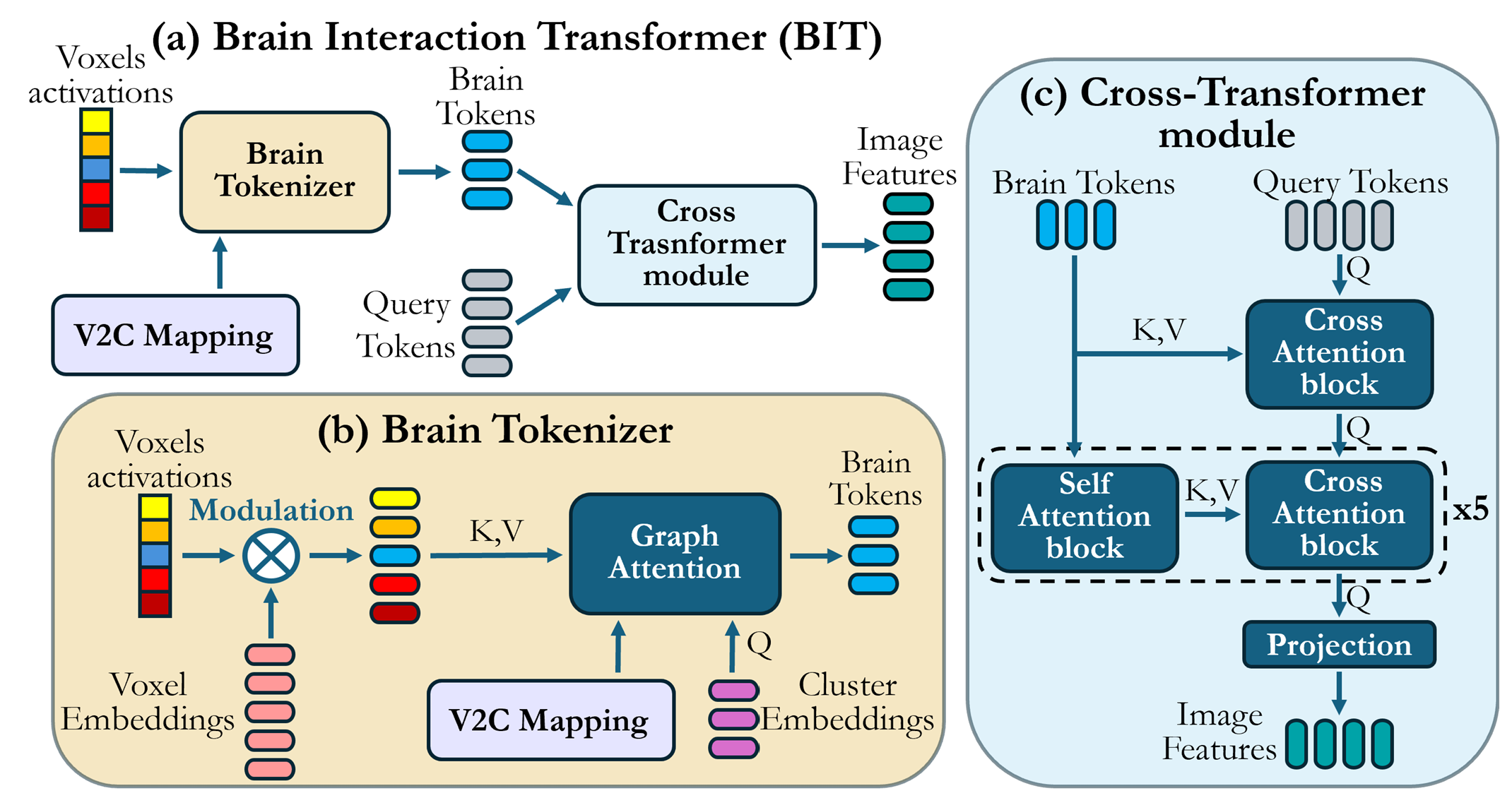 Semantic image generation. The  semantic branch aims to generate images which are simultaneously consistent with the distribution of natural images, and semantically faithful to the underlying seen image.