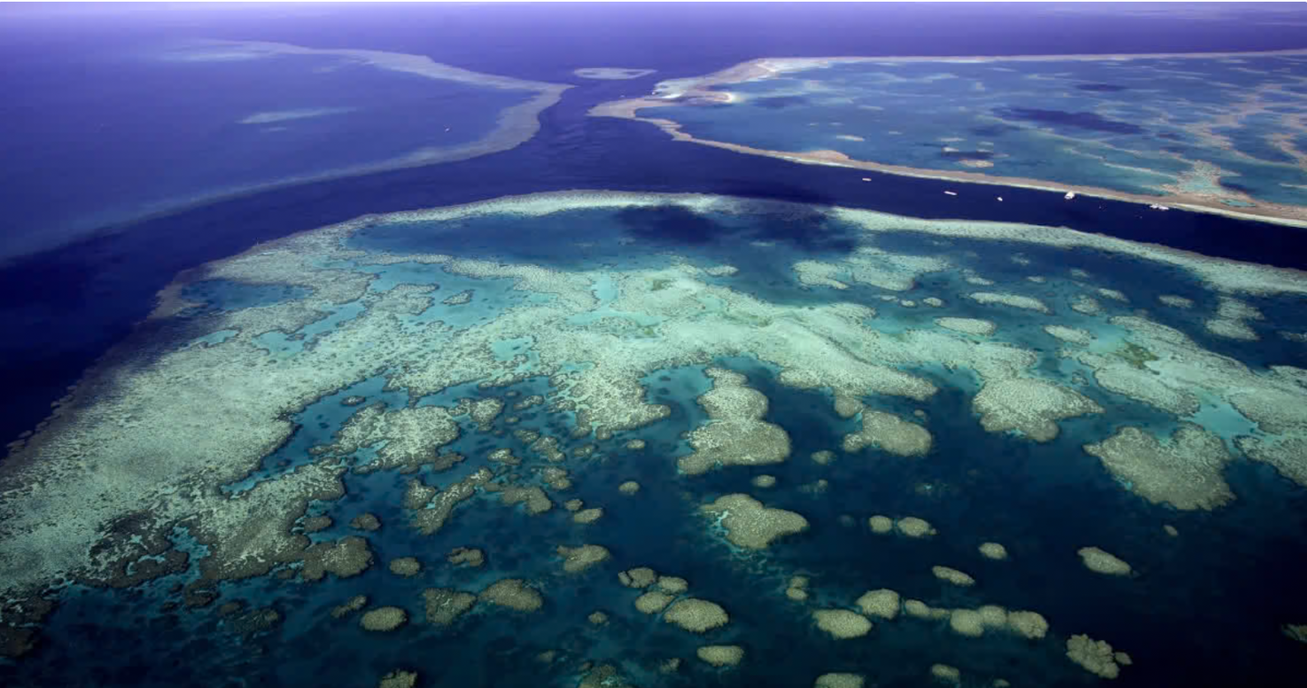 A reef discovered off Cape York in 2020 rises more than 1,640 feet. Later records clarify its naming history and exploration context.