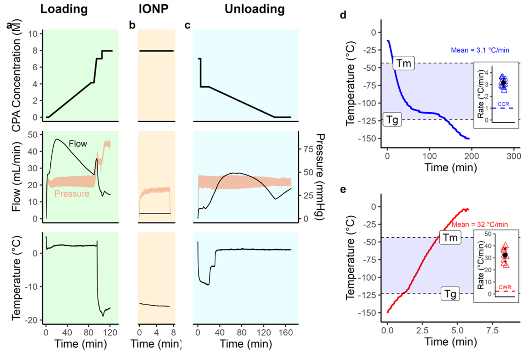Whole-kidney vitrification and nanowarming achieve ice-free cryopreservation.