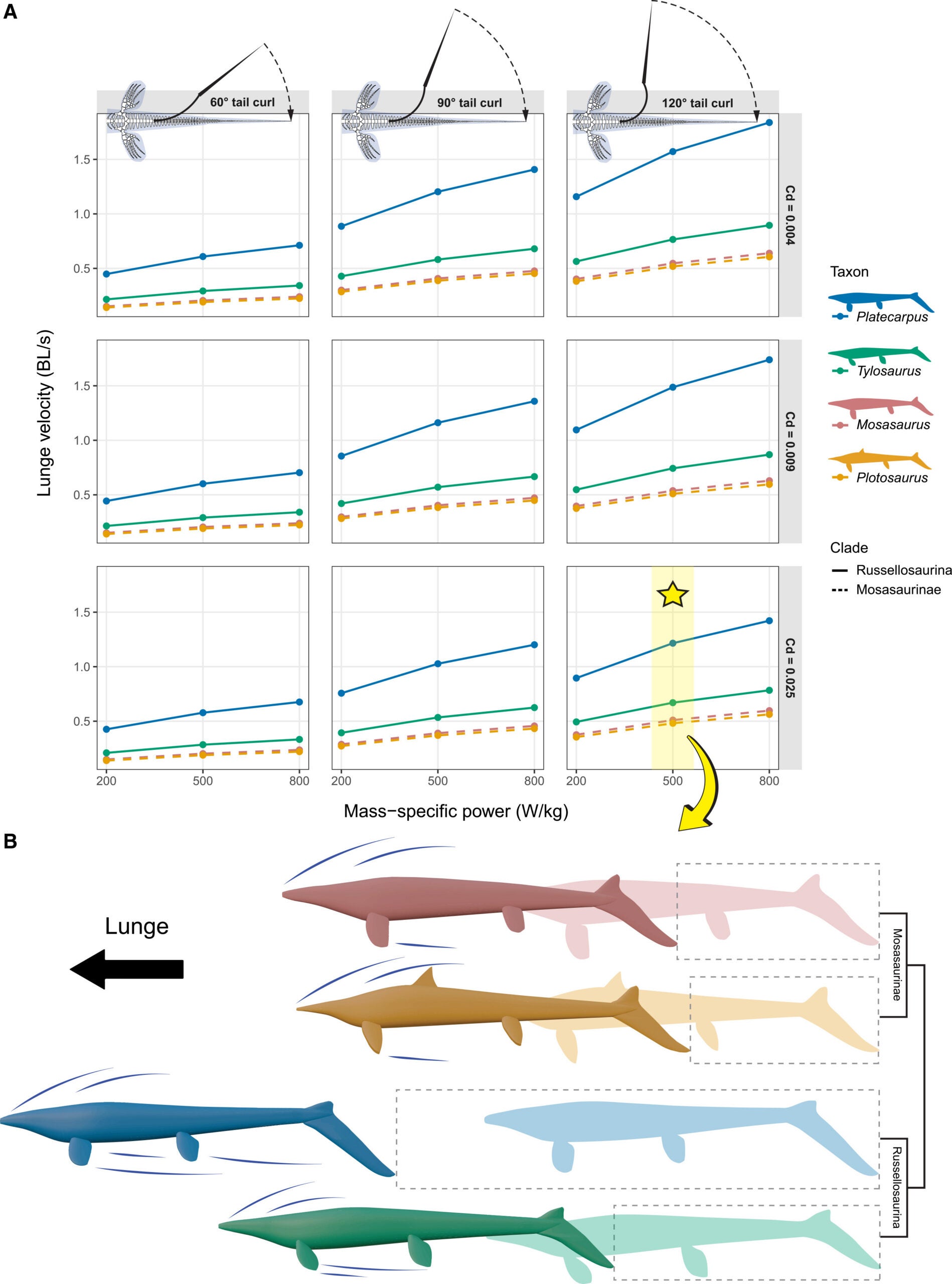 Mosasaur lunge velocity. (A) Modeled lunge velocity in body lengths per second (BL s-1) vs. mass-specific power (200, 500, 800 W kg-1) for four mosasaur taxa (n = 4 taxa; n = 27 modeled conditions per taxon, n = 108 total). (B) Relative forward displacement at each taxon's modeled lunge velocity (BL s-1) at the “sweet spot” parameter combination highlighted in (A) (120° tail curl, Cd(profile) = 0.025, 500 W kg-1).
