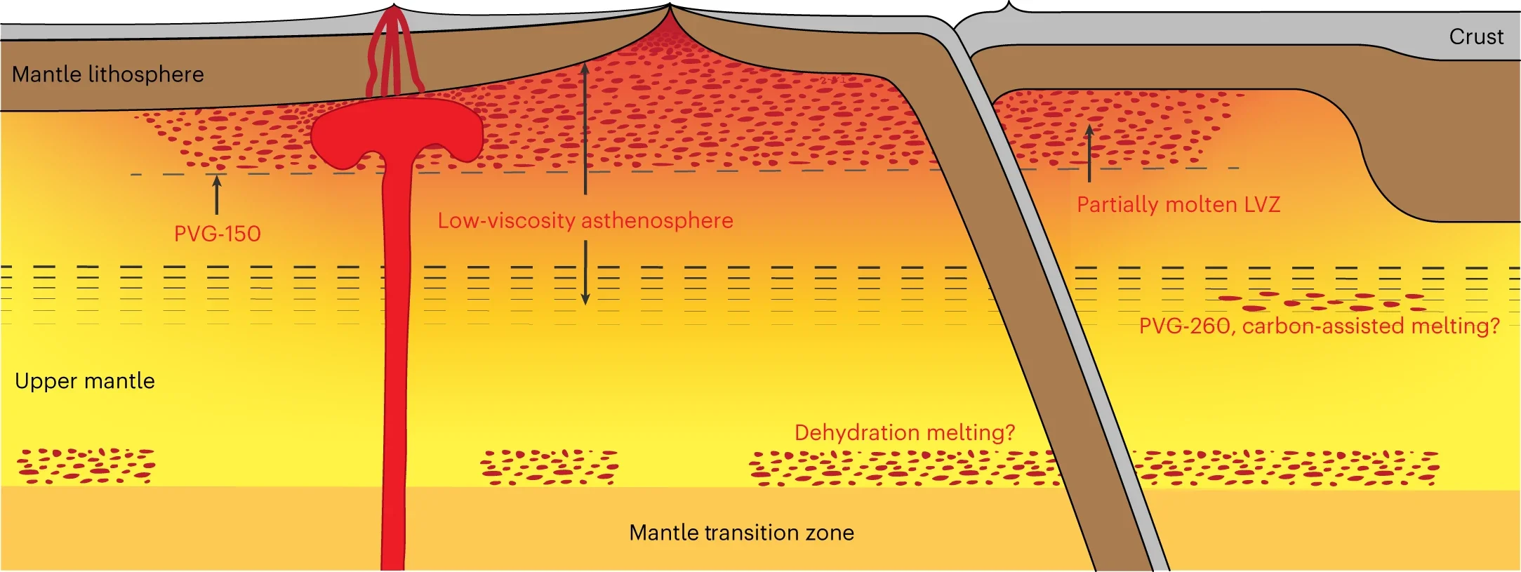 Interpretation of the observed PVG-150 and PVG-260 mantle velocity gradients.