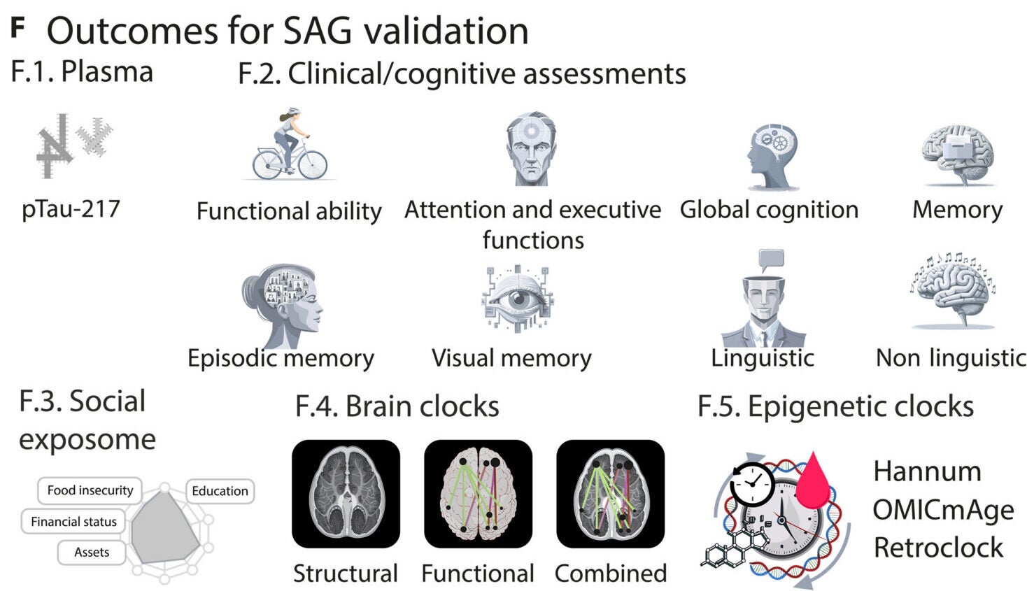 Associations between SAGs and independent, well-established clocks and biomarkers were examined.