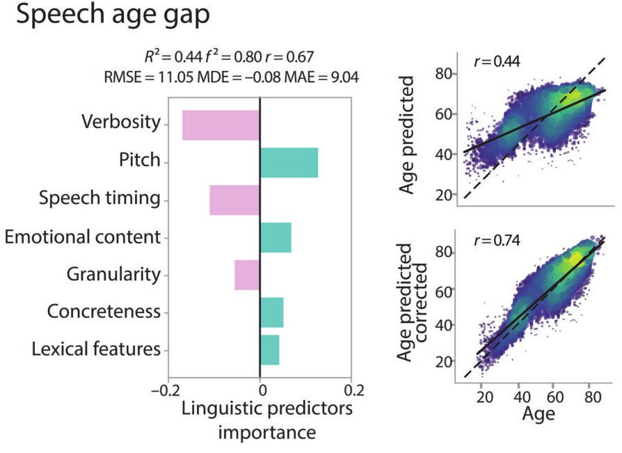SAG performance and feature importance across speech domains. Verbosity, timing, and granularity indexed delayed/preserved aging, whereas pitch, emotion, and concreteness mainly indexed accelerated aging.
