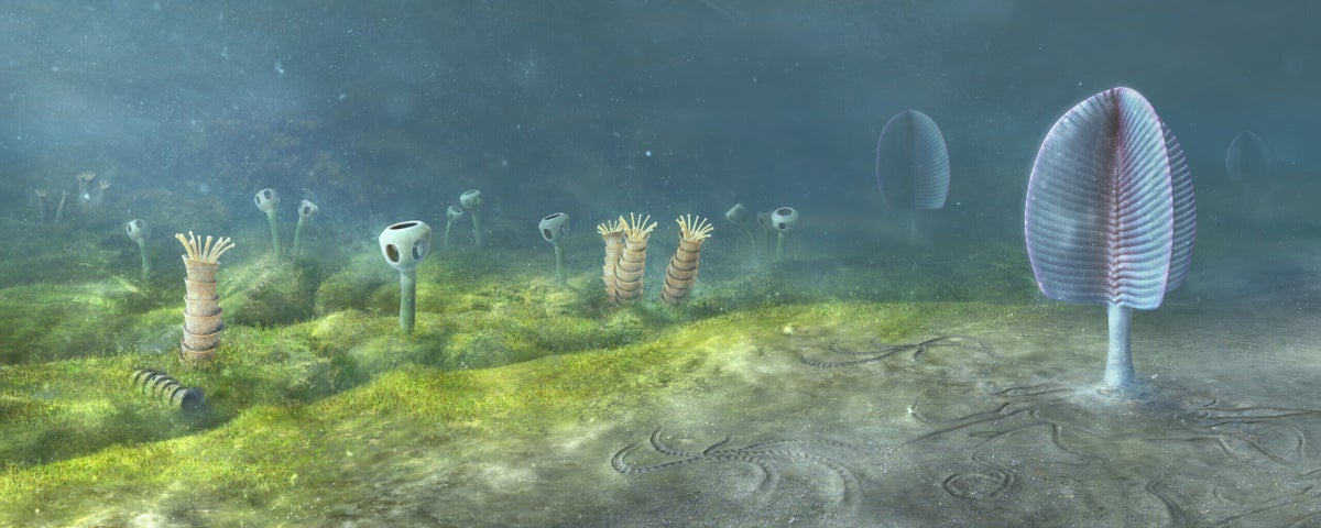 Oxford study says animals may have evolved 200 million years earlier