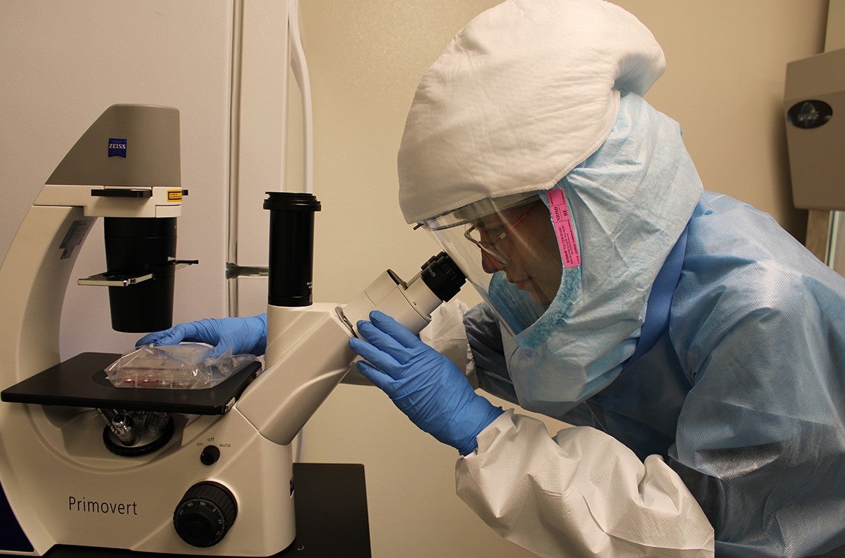 Lindsay Grace Miller, a Washington State University graduate student in Professor Santanu Bose's lab, initiated the project that identified a cellular signaling pathway researchers used to boost antiviral defenses.