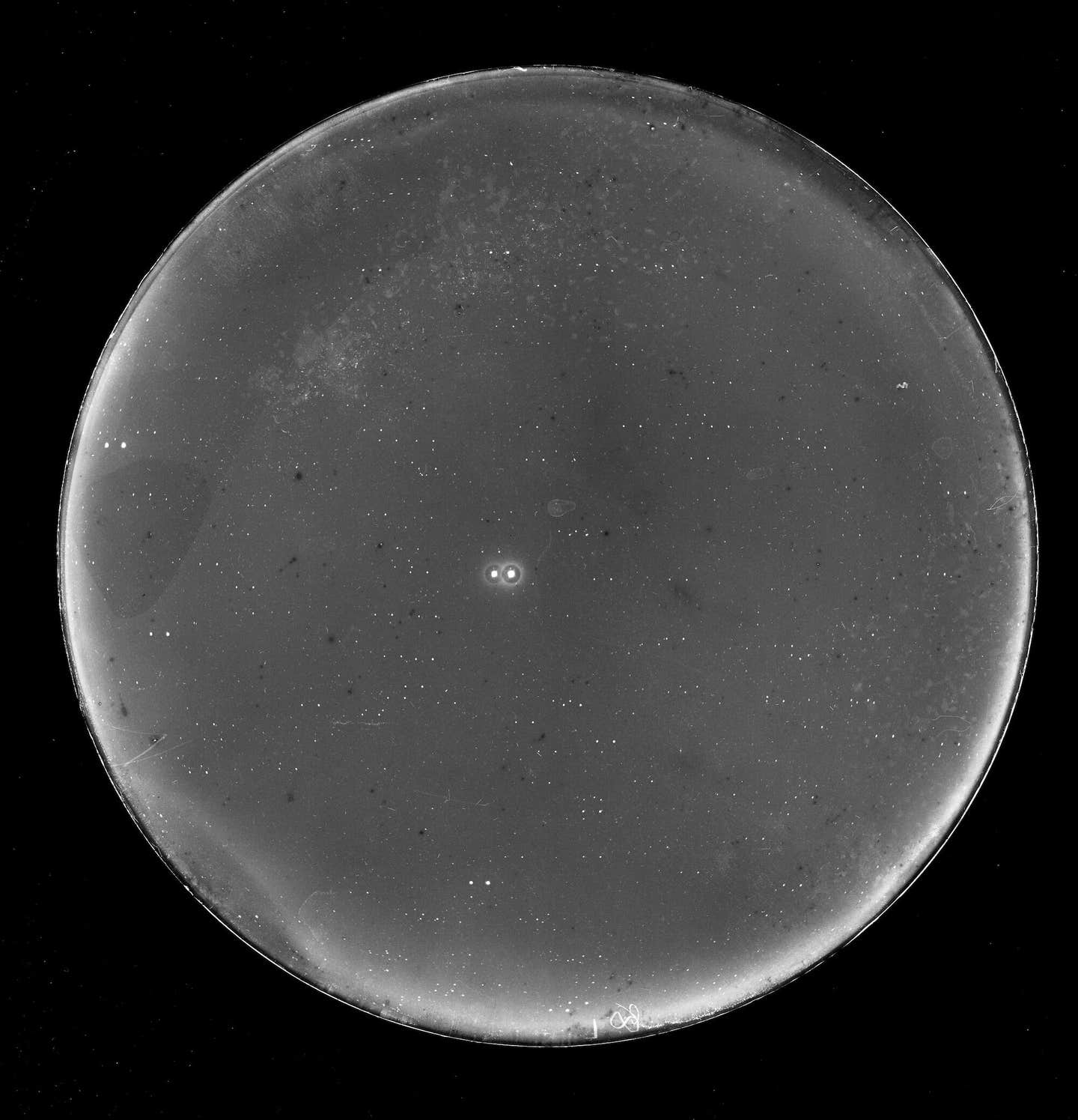 The binary star system 70 Ophiuchi AB, or 70 Oph AB, can be seen near the center of this image taken by the U.S. Naval Observatory in 1937.