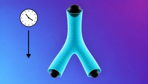 If rotating black holes did split, the black hole's outer boundary, known as the horizon, would form a trouser-like shape through time: one section dividing into two “legs”. This explains the study's unusual term “pair-of-pants topologies”.