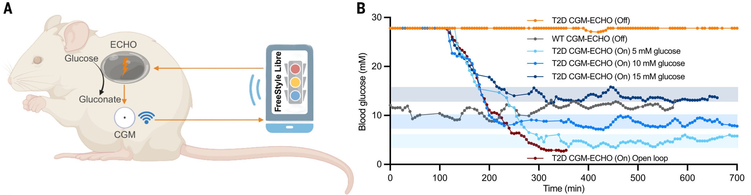 Smartphone-enabled closed-loop control of glucose homeostasis using a commercial continuous glucose monitoring device integrated with the ECHO system.