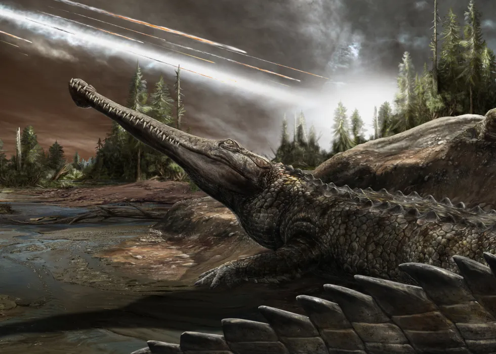 Fossil records and climate simulations suggest tropical refuges could have remained suitable after the dinosaur-killing asteroid impact.