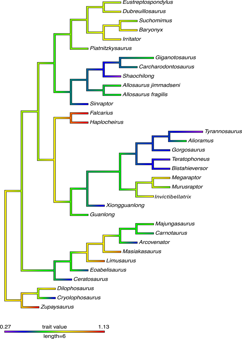 Phylogenetic plot of the FOR with warmer colors representing an increased FOR and cooler colors representing a lower FOR across neotheropods based on the FOR values and using the EQW phylogeny derived from the modified Naish & Cau data matrix.