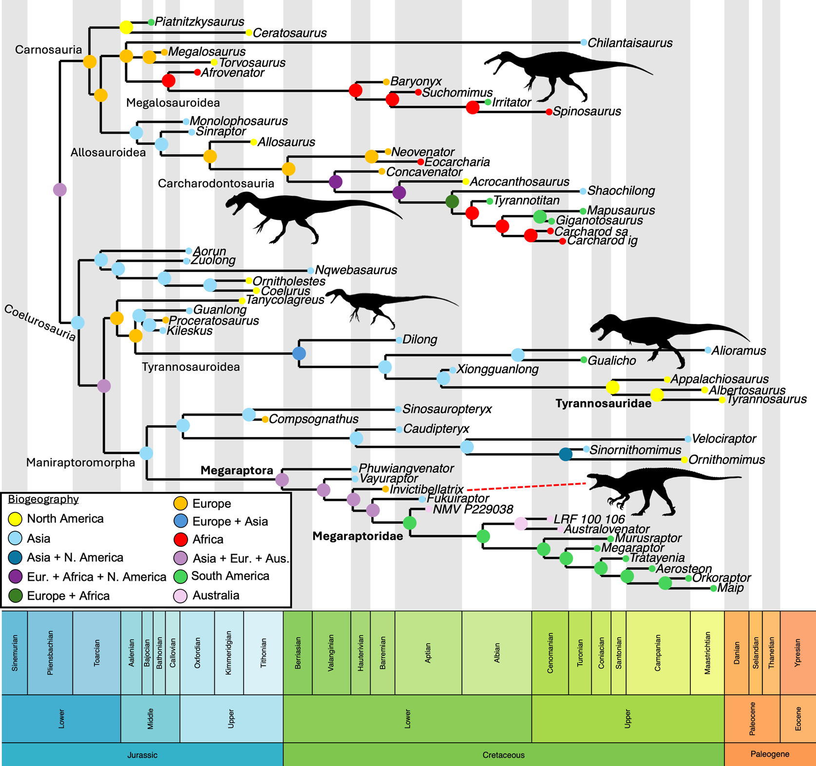 Time-calibrated strict consensus tree based on the Aranciaga Rolando et al. data matrix using a FBD analysis, including the new taxon, I. amberina.