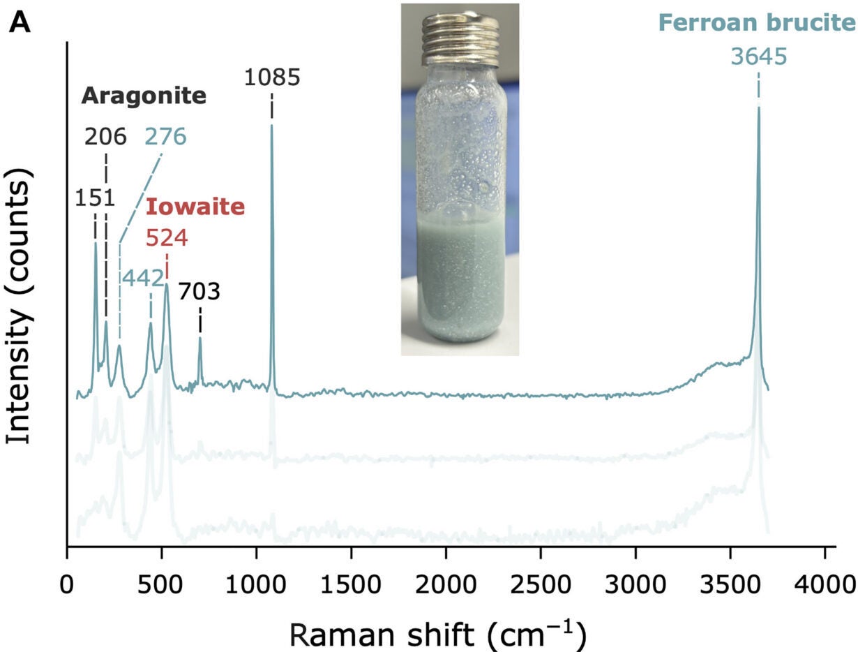 Mineral precipitates and viable cells in Enceladus simulant experiments. (A) Raman spectroscopy of mineral precipitates in the Enceladus simulant after 48 hours. Bands show the presence of ferroan brucite, iowaite, and aragonite. The picture shows the mineral precipitates with a blue-green color.