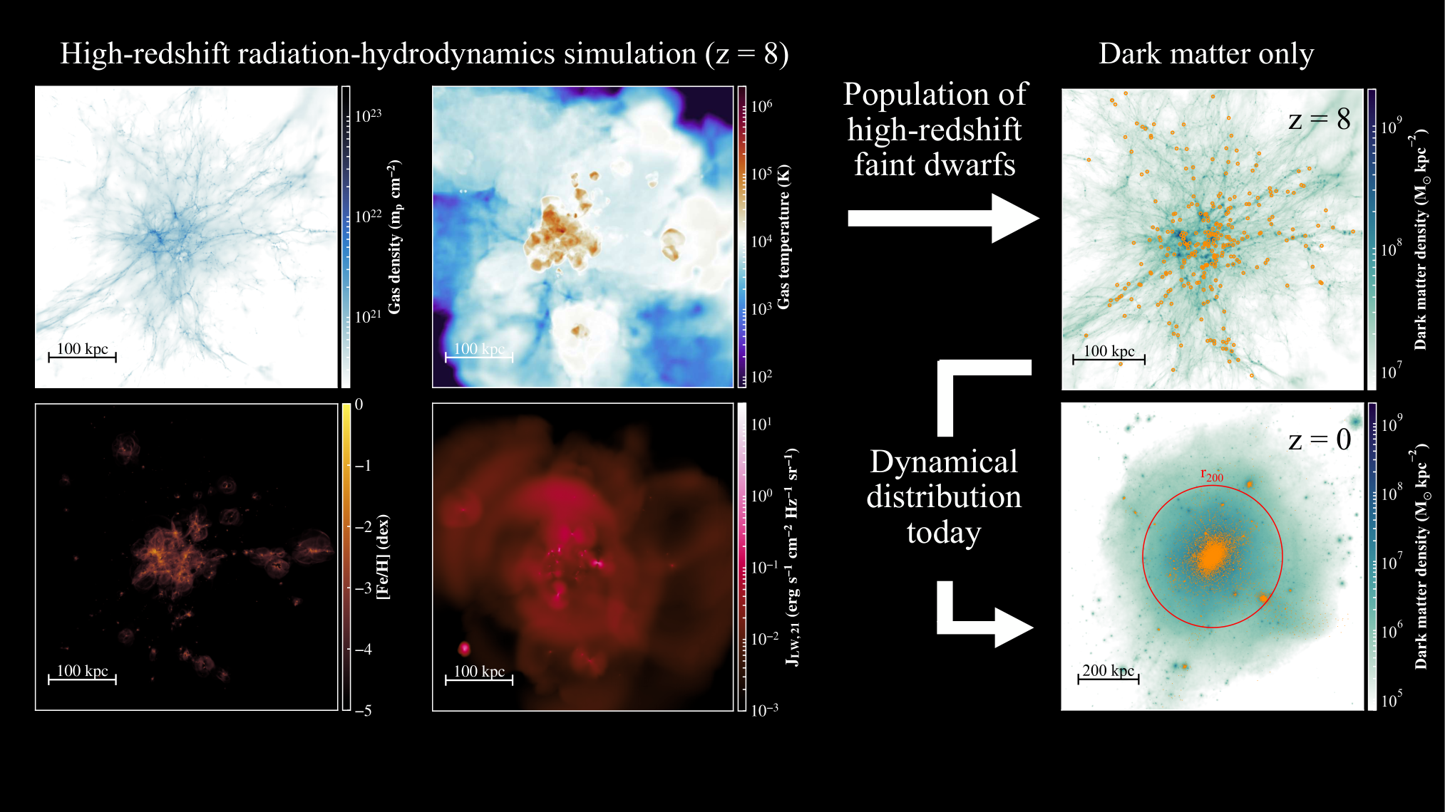 Megatron cosmological radiation-hydrodynamics simulations (left panels, gas density, gas temperature, gas iron metallicity, LW background at z≈8) model galaxy formation of a proto-galaxy that will turn into a Milky-Way-like galaxy at 
z=0 (right panels). 