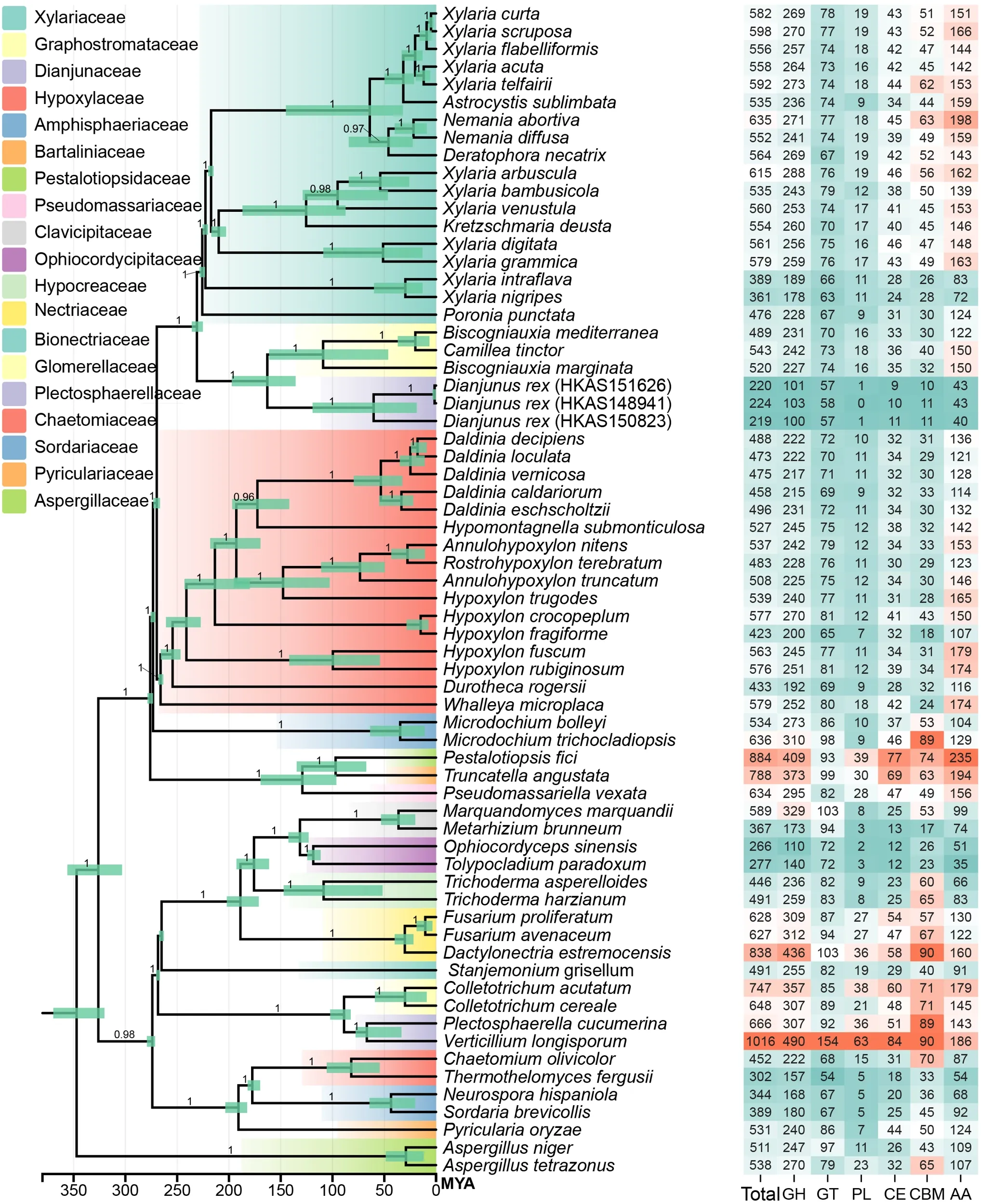 Phylogenomic tree inferred from a genome-scale dataset comprising 66 Pezizomycotina species with Aspergillus niger and A. tetrazonus asoutgroup taxa. Devonian (420–360 Ma), Carboniferous (360–300 Ma), Permian (300–250 Ma), Triassic (250–200 Ma), Jurassic (200–145 Ma),Cretaceous (145–65 Ma), Paleogene (65–23 Ma), Neogene (23–2.6 Ma).